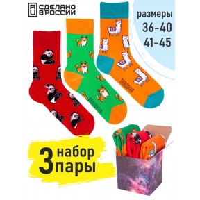 3 пары, набор цветных носков F3-05 в подарочной коробке