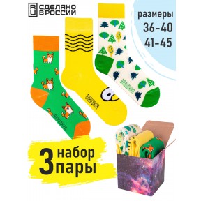 3 пары, набор цветных носков в подарочной коробке F3-10