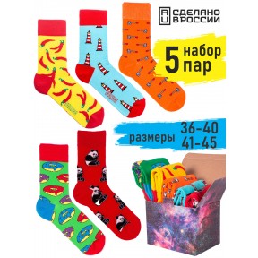 5 пар, набор цветных носков в подарочной коробке F5-05