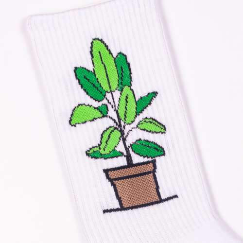 Спортивные носки Растение в горшке