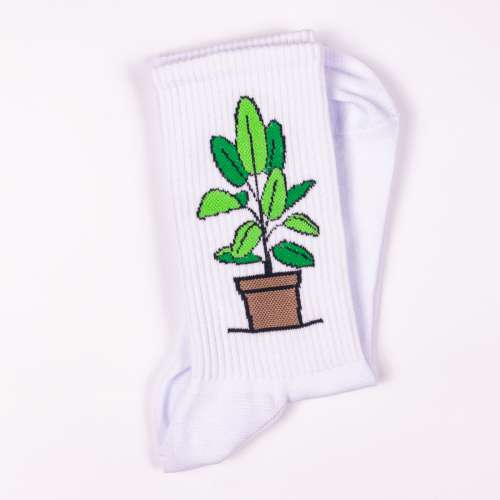 Купить Спортивные носки растение в горшке S30