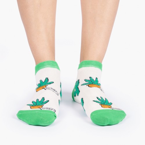 Цветные носки с кактусами